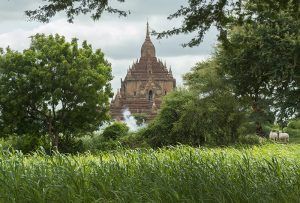 Fotografía Myanmar templo Budista Bagan