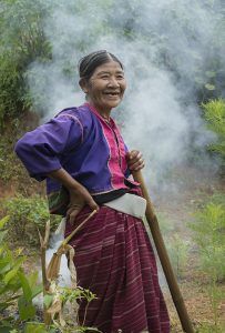 Fotografía Myanmar mujer recolectora de té